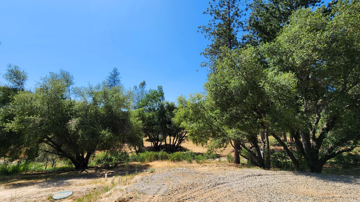 55062 Oak Crest Ct, Wishon, CA 93669