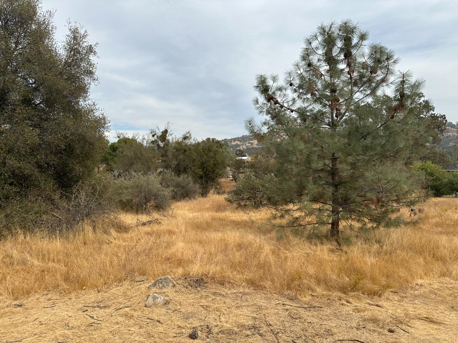 0 Lot 880 Jim Bowie Ct, Coarsegold, CA 93614