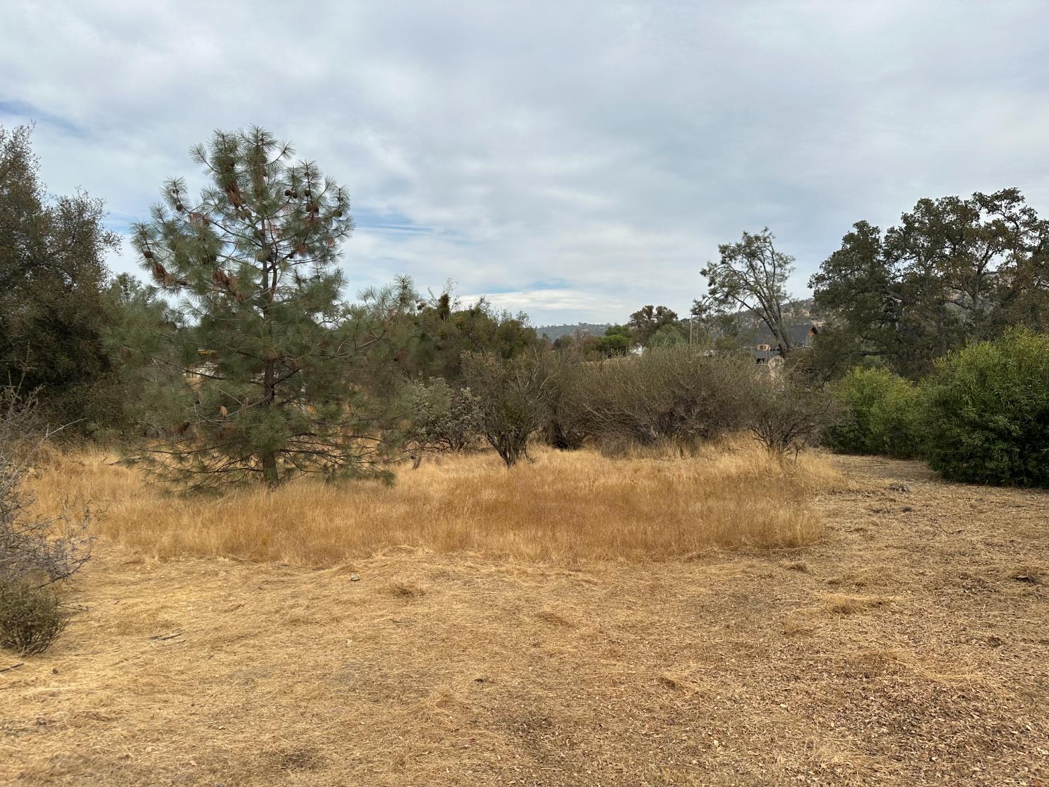 0 Lot 880 Jim Bowie Ct, Coarsegold, CA 93614