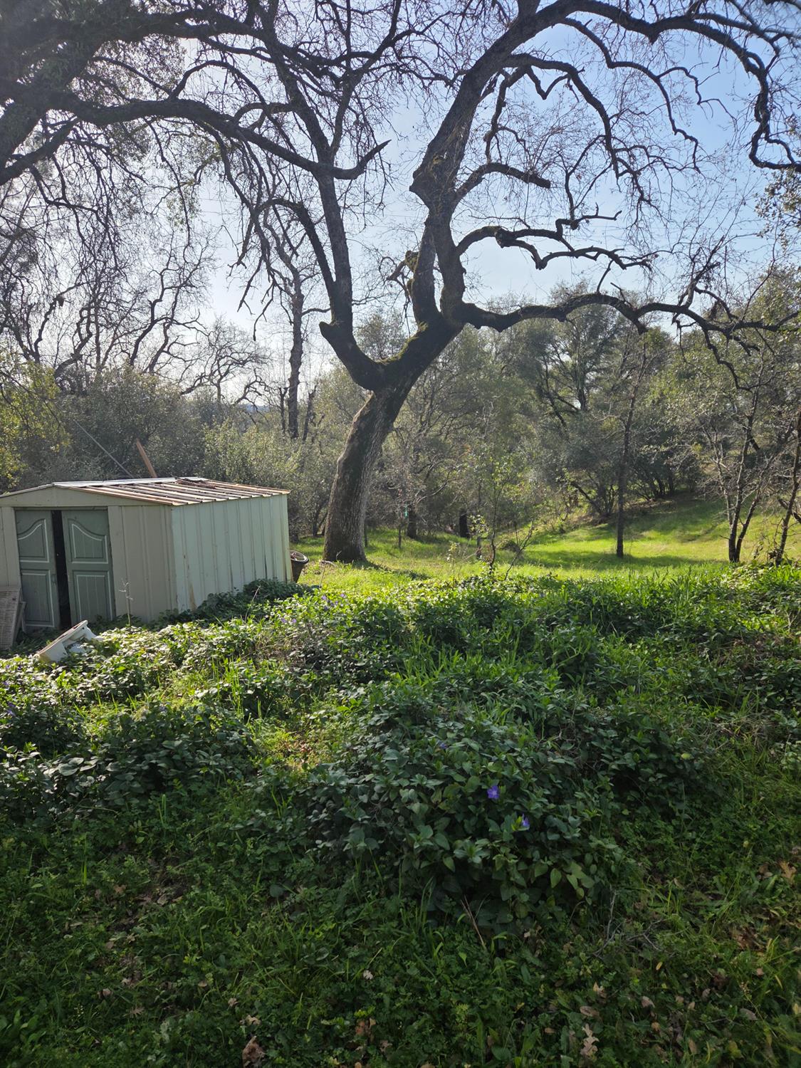 58348 Road 225, North Fork, CA 93643