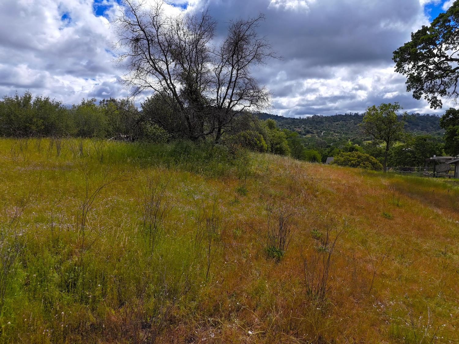 2098 Lot # North Dome Dr #2098, Coarsegold, CA 93614