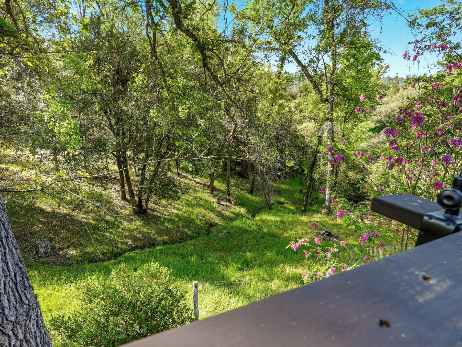 37927 China Creek Rd, Oakhurst, CA 93644